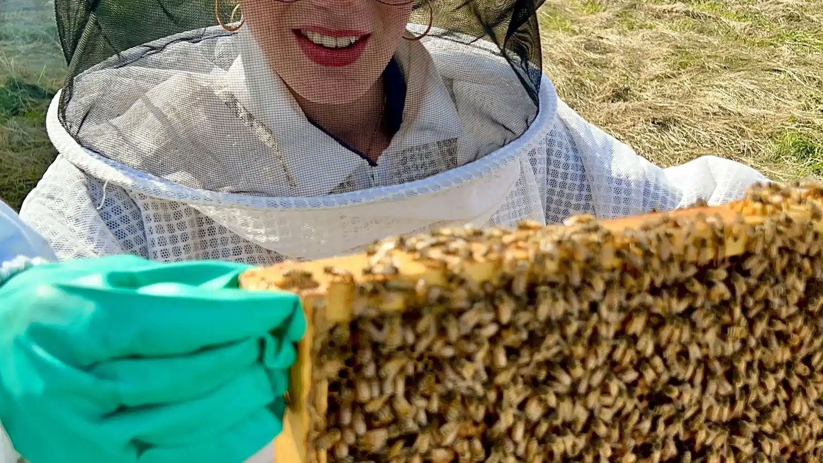 Beekeeper carrying a relocated hive box in Melbourne